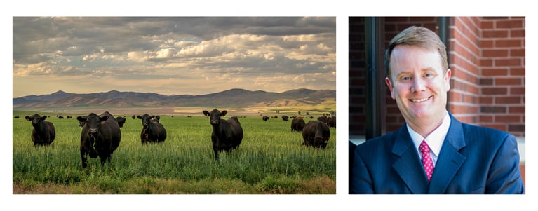 "Home, Home on the Range..." A CEO Goes Back to His Roots - (but he did forget his boots)!