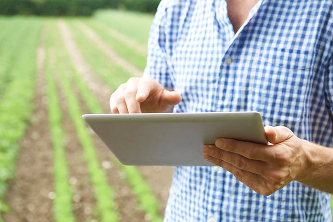 Person standing in a field with rows of crops and holding a tablet
