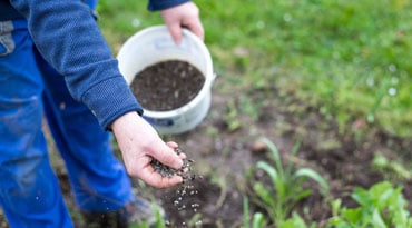 agriculture-industry-overview