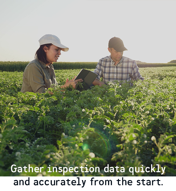 inspection-caption