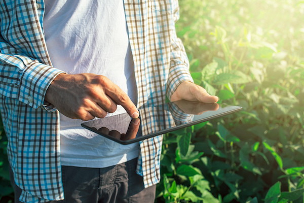 Mi-Co Awarded Three-Year Hemp Licensing Solution
